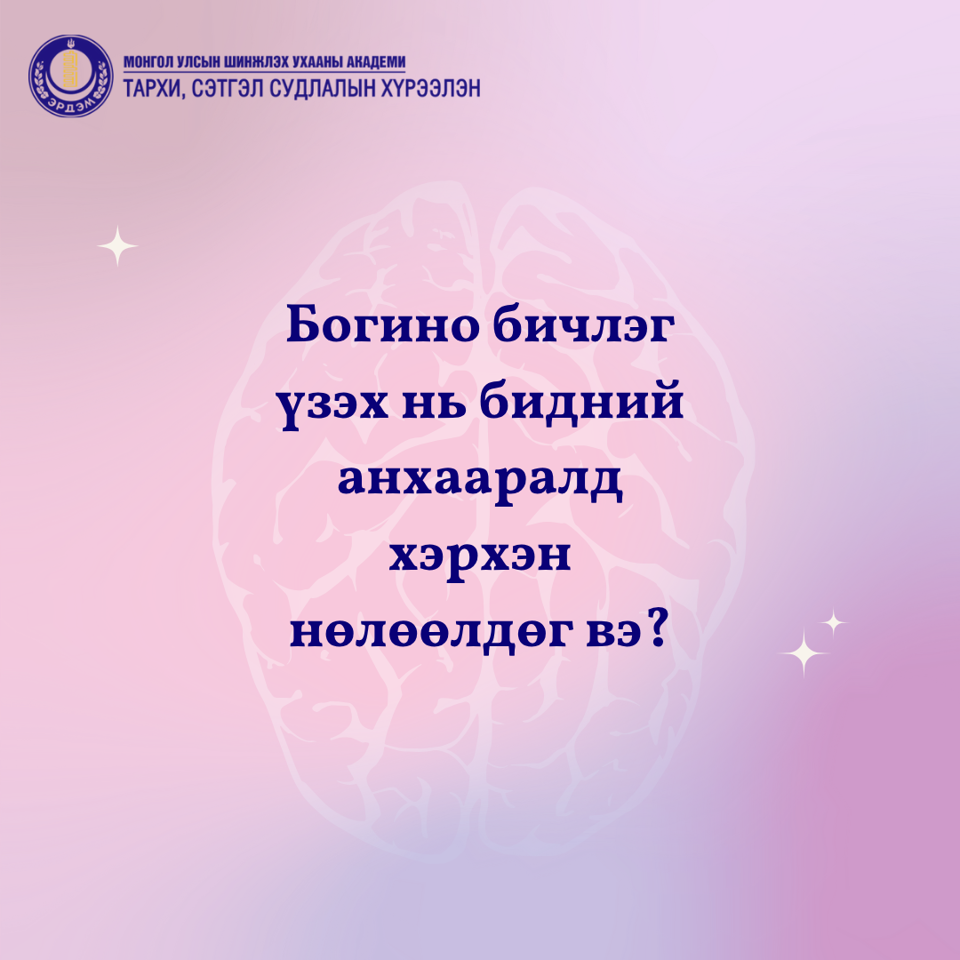 Богино бичлэг анхааралд хэрхэн нөлөөлдөг вэ?
