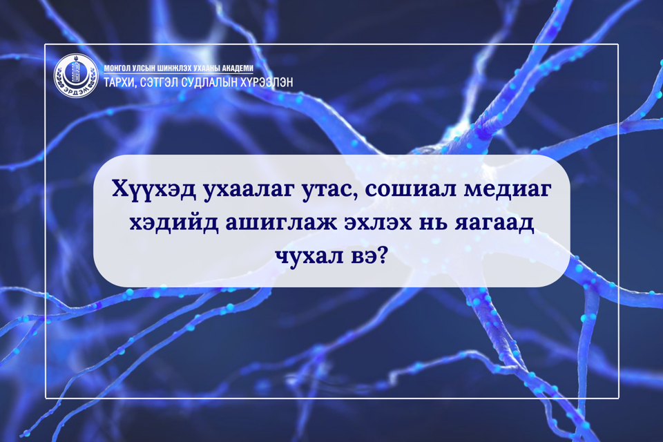 Хүүхэд ухаалаг утас, сошиал медиаг хэдийд ашиглаж эхлэх нь яагаад чухал вэ?