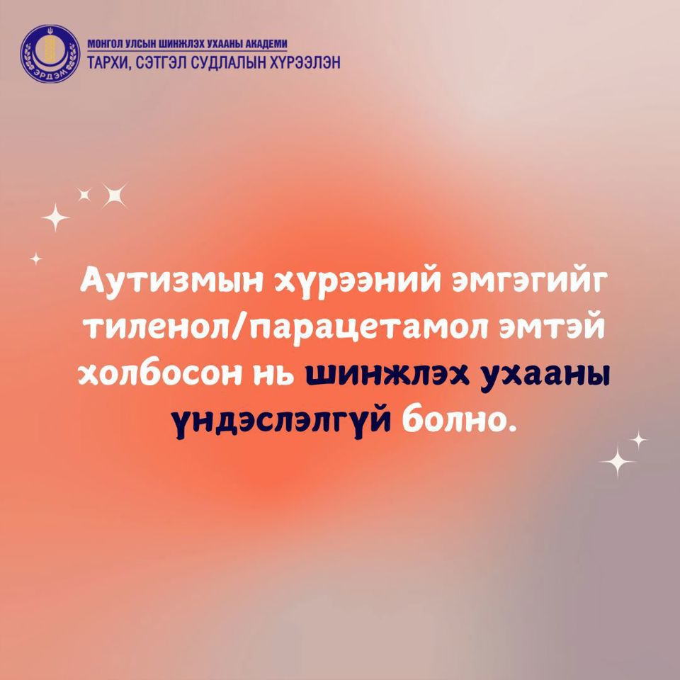 🧩 Аутизмын тухай товчхон 